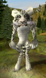Schermopname (72).png