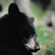 Sier